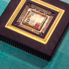 новинки-и-текущие-разработки